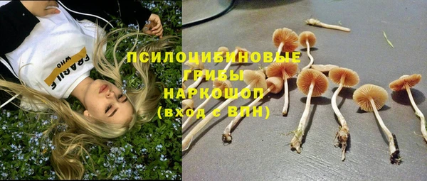 PSILOCYBIN Алексеевка