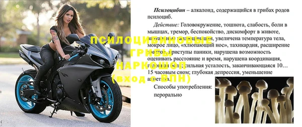 PSILOCYBIN Алексеевка