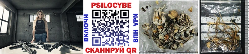 купить   Артёмовский  Галлюциногенные грибы MAGIC MUSHROOMS 